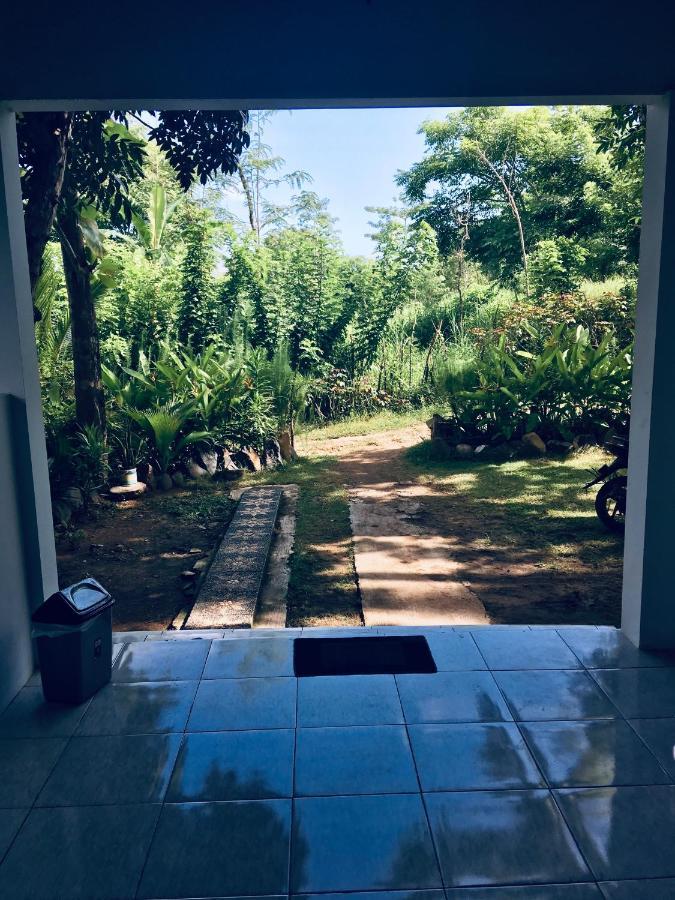 Rimba Bungalow Kuta (Lombok) Exterior foto