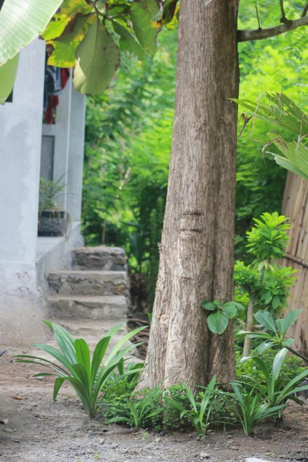 Rimba Bungalow Kuta (Lombok) Exterior foto